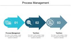 Process management ppt powerpoint presentation infographic template design inspiration cpb