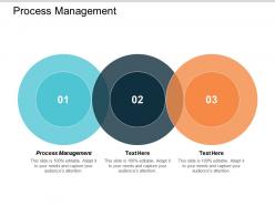 Process management ppt powerpoint presentation styles themes cpb