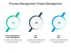 Process management project management ppt powerpoint presentation portfolio files cpb