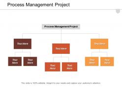Process management project ppt powerpoint presentation layouts slide download cpb