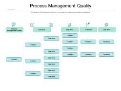 Process management quality ppt powerpoint presentation inspiration professional cpb