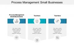 Process management small businesses ppt powerpoint presentation styles objects cpb