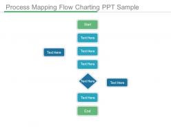 Process mapping flow charting ppt sample