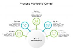Process marketing control ppt powerpoint presentation icon vector cpb