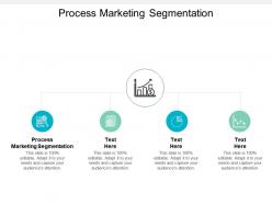 Process marketing segmentation ppt powerpoint presentation portfolio clipart images cpb