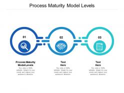 Process maturity model levels ppt powerpoint presentation professional introduction cpb