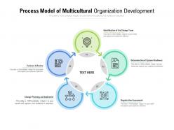 Process model of multicultural organization development