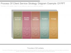 Process of client service strategy diagram example of ppt