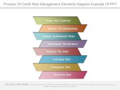 Process of credit risk management elements diagram example of ppt