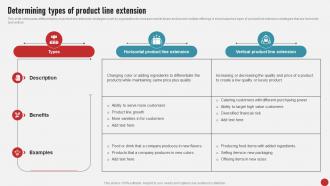 Process Of Developing And Launching Determining Types Of Product MKT SS V