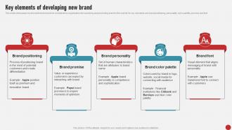 Process Of Developing And Launching Key Elements Of Developing New Brand MKT SS V
