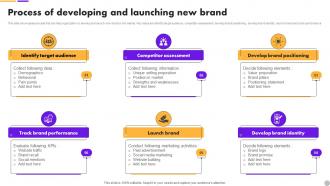 Process Of Developing And New Brand Brand Extension Strategy To Diversify Business Revenue MKT SS V