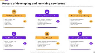 Process Of Developing And New Brand Brand Extension Strategy To Diversify Business Revenue MKT SS V