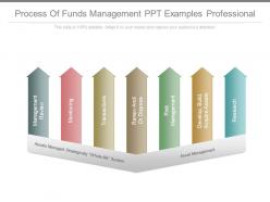 Process of funds management ppt examples professional