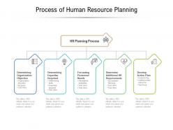 Process of human resource planning