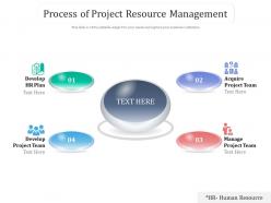 Process of project resource management