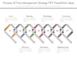 Process of time management strategy ppt powerpoint ideas