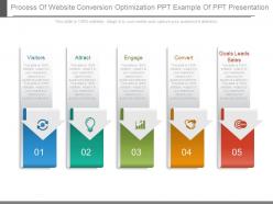Process of website conversion optimization ppt example of ppt presentation