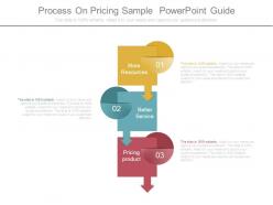 Process on pricing sample powerpoint guide