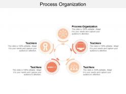 Process organization ppt powerpoint presentation icon background image cpb