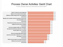 Process owner activities gantt chart
