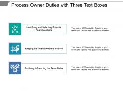 Process owner duties with three text boxes