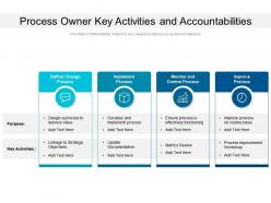 Process owner key activities and accountabilities