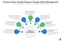 Process owner quality release change defect management