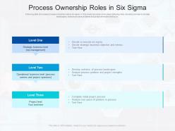 Process ownership roles in six sigma