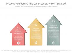 Process perspective improve productivity ppt example