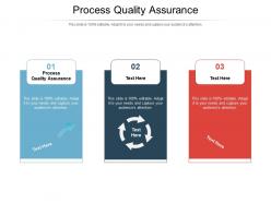 Process quality assurance ppt powerpoint presentation icon slide portrait cpb