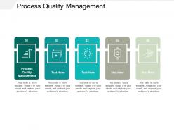 Process quality management ppt powerpoint presentation infographics infographics cpb