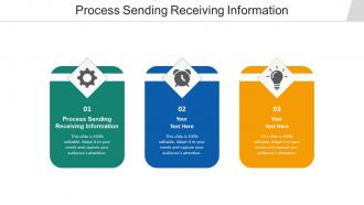Process sending receiving information ppt powerpoint presentation layouts cpb