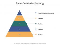 Process socialization psychology ppt powerpoint presentation infographics inspiration cpb