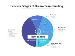 Process stages of dream team building