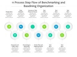 Process step flow of benchmarking and baselining organization