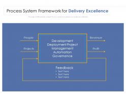 Process system framework for delivery excellence