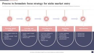 Process To Formulate Focus Strategy For Niche Market Entry Focus Strategy For Niche Market Entry