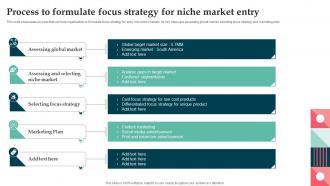 Process To Formulate Focus Strategy For Niche Market Product Launch Strategy For Niche Market Segment