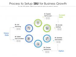 Process to setup sbu for business growth