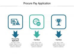 Procure pay application ppt powerpoint presentation layouts sample cpb