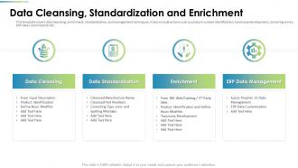 Procurement Analysis Data Cleansing Standardization And Enrichment Ppt Professional