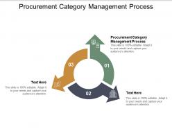 Procurement category management process ppt powerpoint presentation show cpb