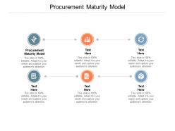 Procurement maturity model ppt powerpoint presentation layouts sample cpb