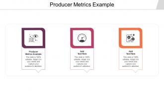 Producer Metrics Example Ppt Powerpoint Presentation Model Information Cpb