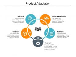 Product adaptation ppt powerpoint presentation ideas slide cpb