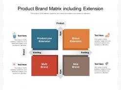Product brand matrix including extension