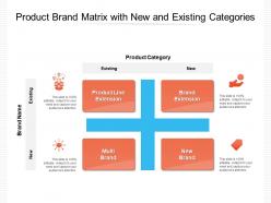 Product brand matrix with new and existing categories