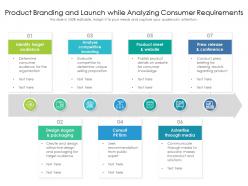 Product branding and launch while analyzing consumer requirements