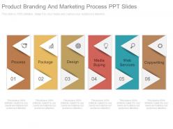 Product Branding And Marketing Process Ppt Slides